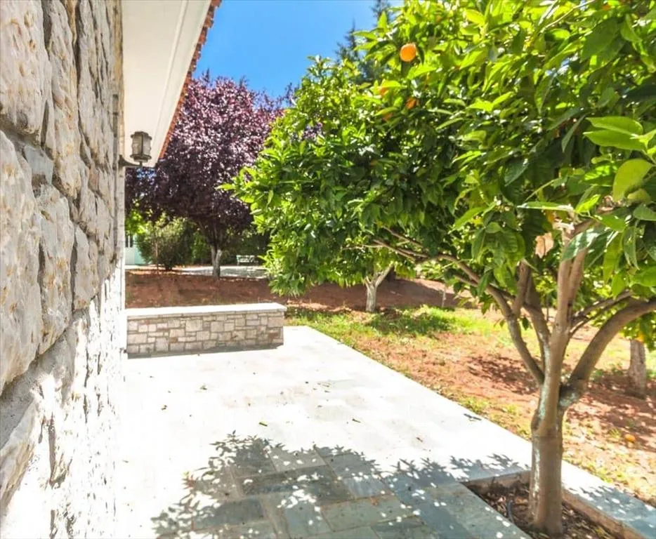 Maisonette 667m²  - 3