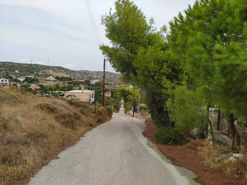 Μονοκατοικία 150τ.μ.  - 5