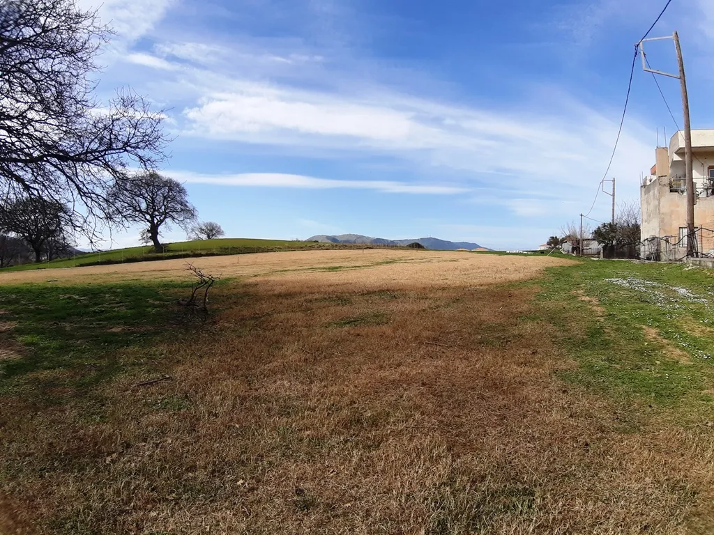 Plot 8923m²  - 3