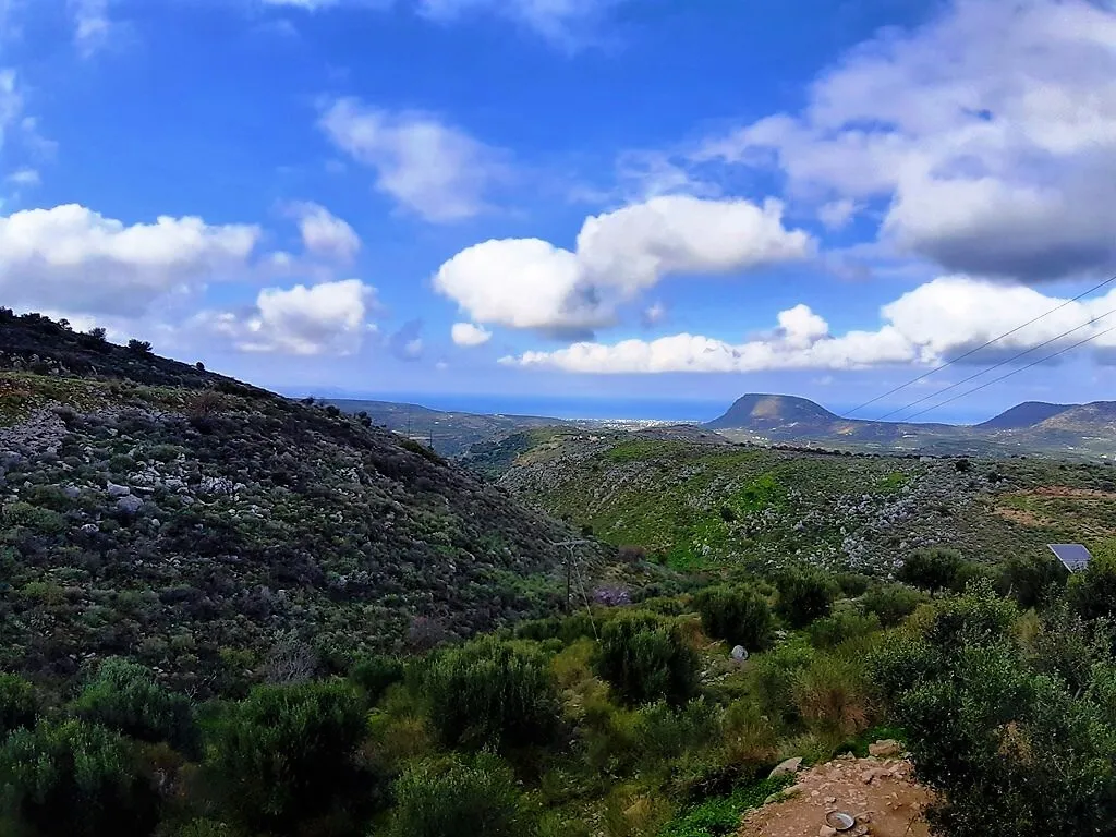 Μονοκατοικία 170τ.μ.  - 3