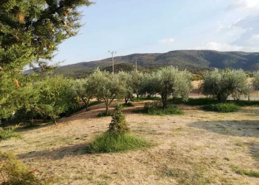 Μονοκατοικία 140τ.μ.  - 3