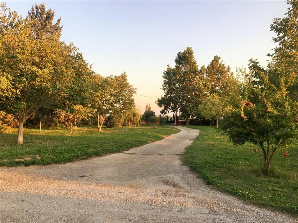 Detached house 280m²  - 5