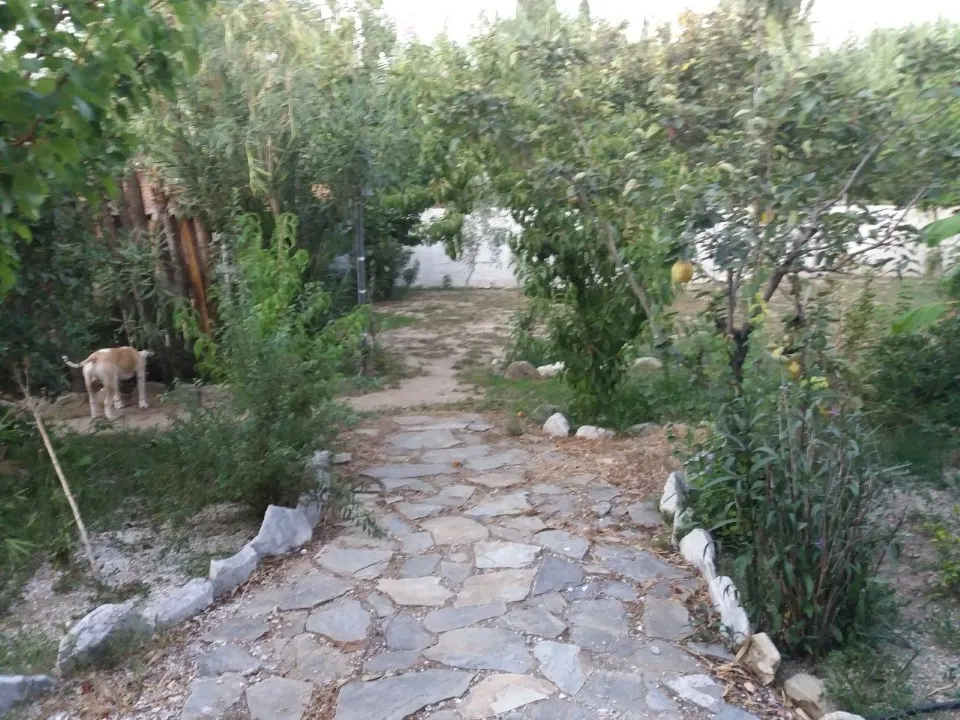 Άλλο.. 320τ.μ.  - 3