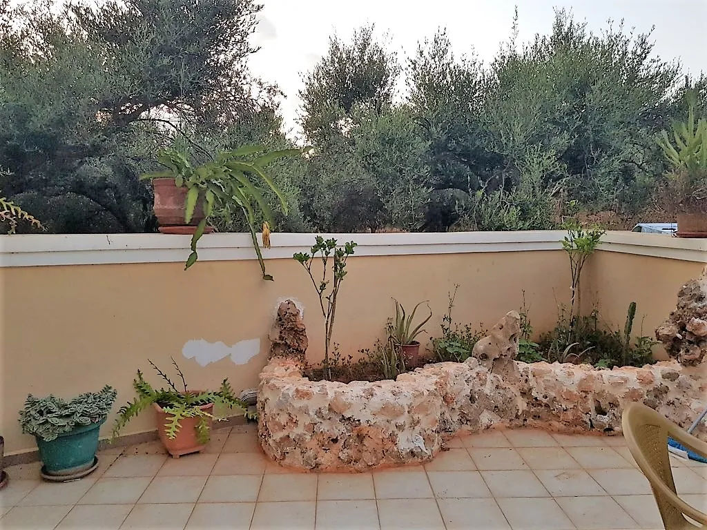 Άλλο.. 540τ.μ.  - 5
