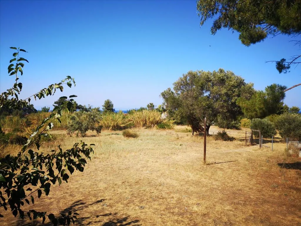 Οικόπεδο 280τ.μ.  - 2