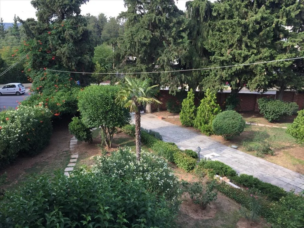 Διαμέρισμα 650τ.μ.  - 4