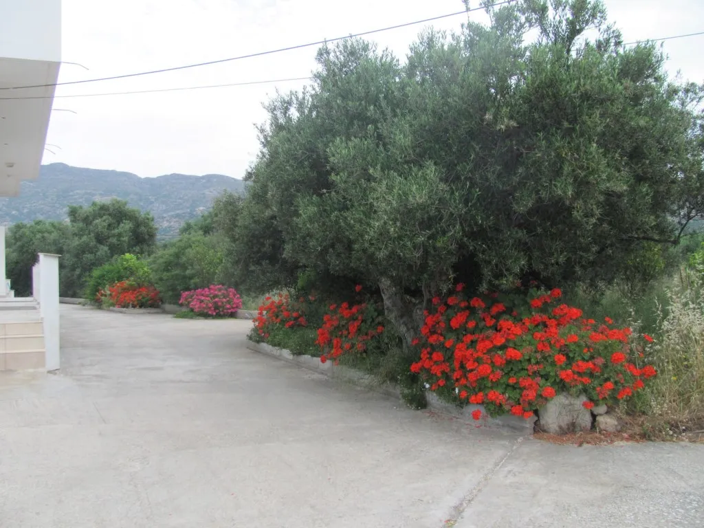 Other .. 579m²  - 2