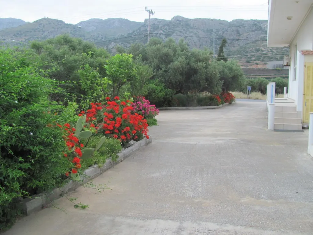 Other .. 579m²  - 3