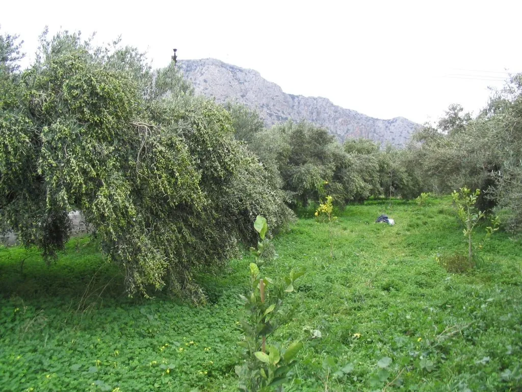 Other .. 579m²  - 4