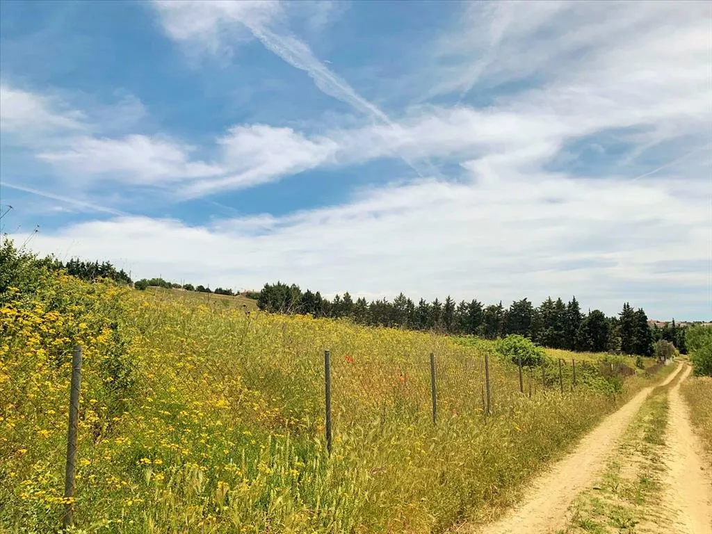 Plot 7000m²  - 3