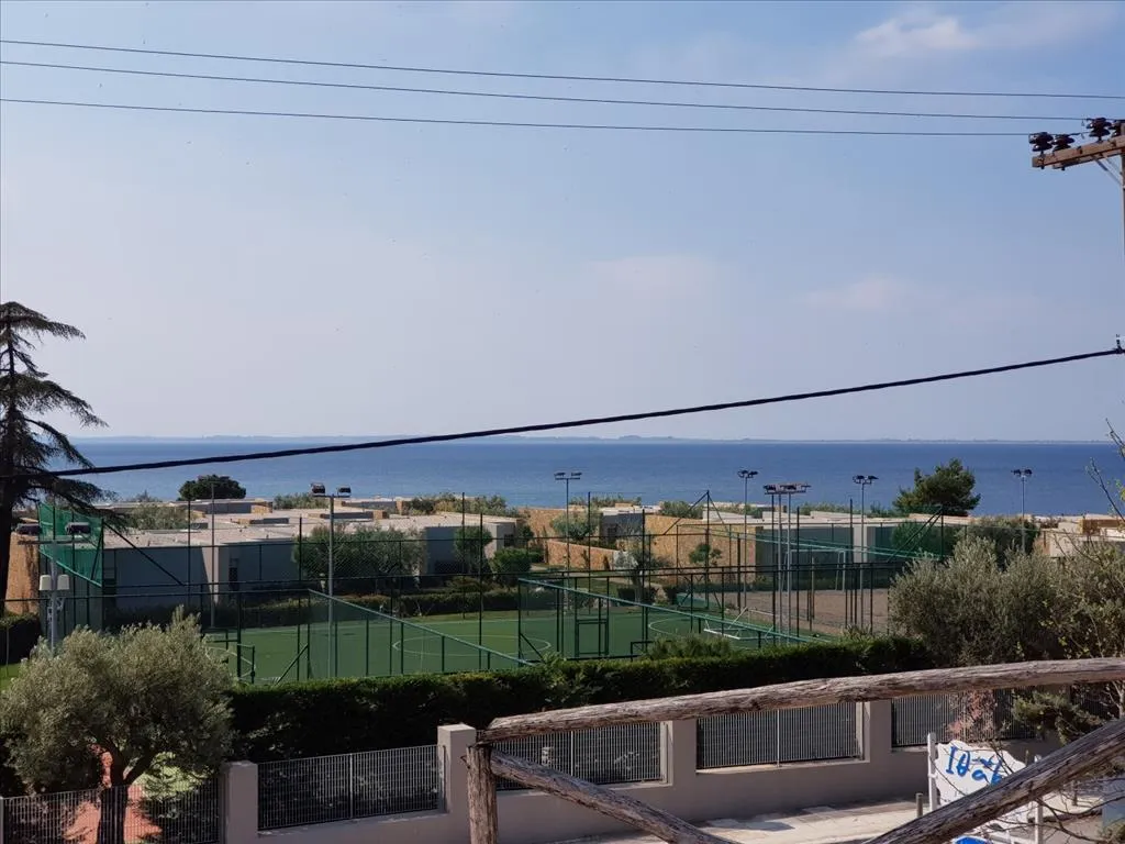 Άλλο.. 330τ.μ.  - 4