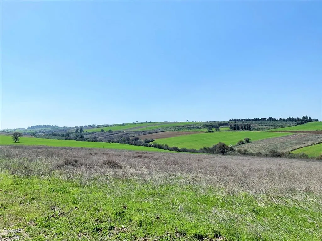 Plot 22000m²  - 3