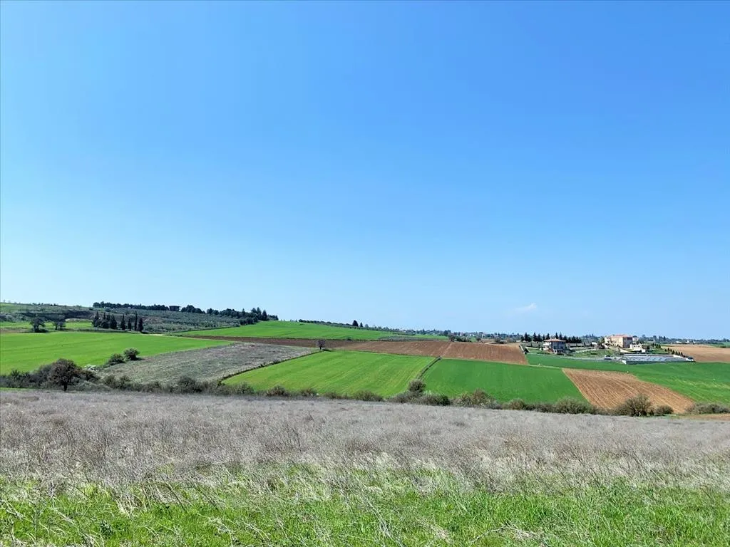 Plot 22000m²  - 4