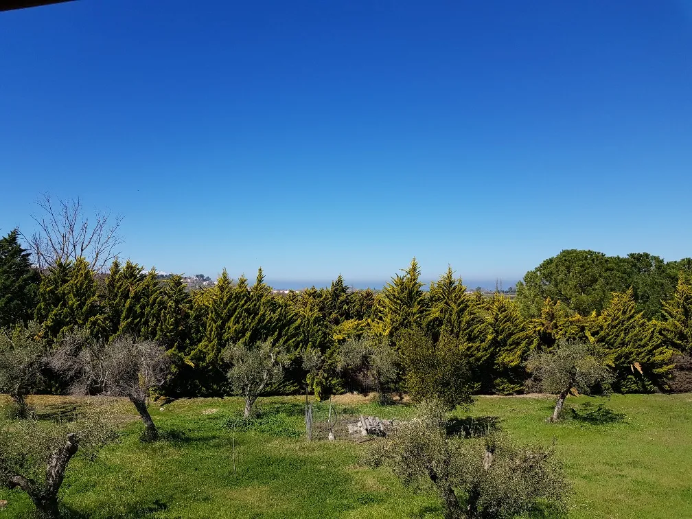 Detached house 200m²  - 4