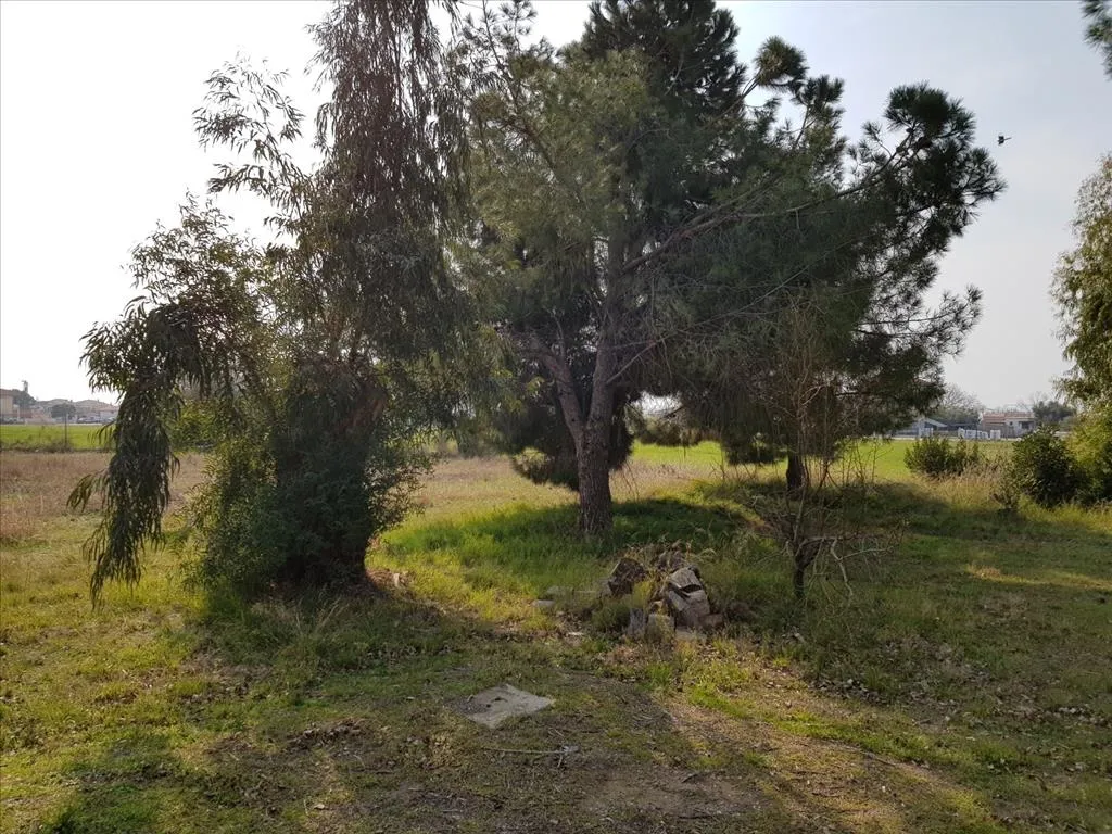 Μονοκατοικία 190τ.μ.  - 5