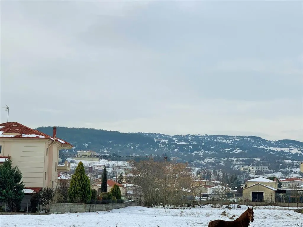 Οικόπεδο 705τ.μ.  - 3