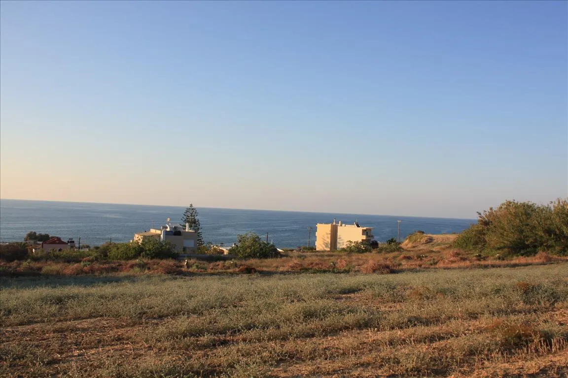 Plot 25000m²  - 3