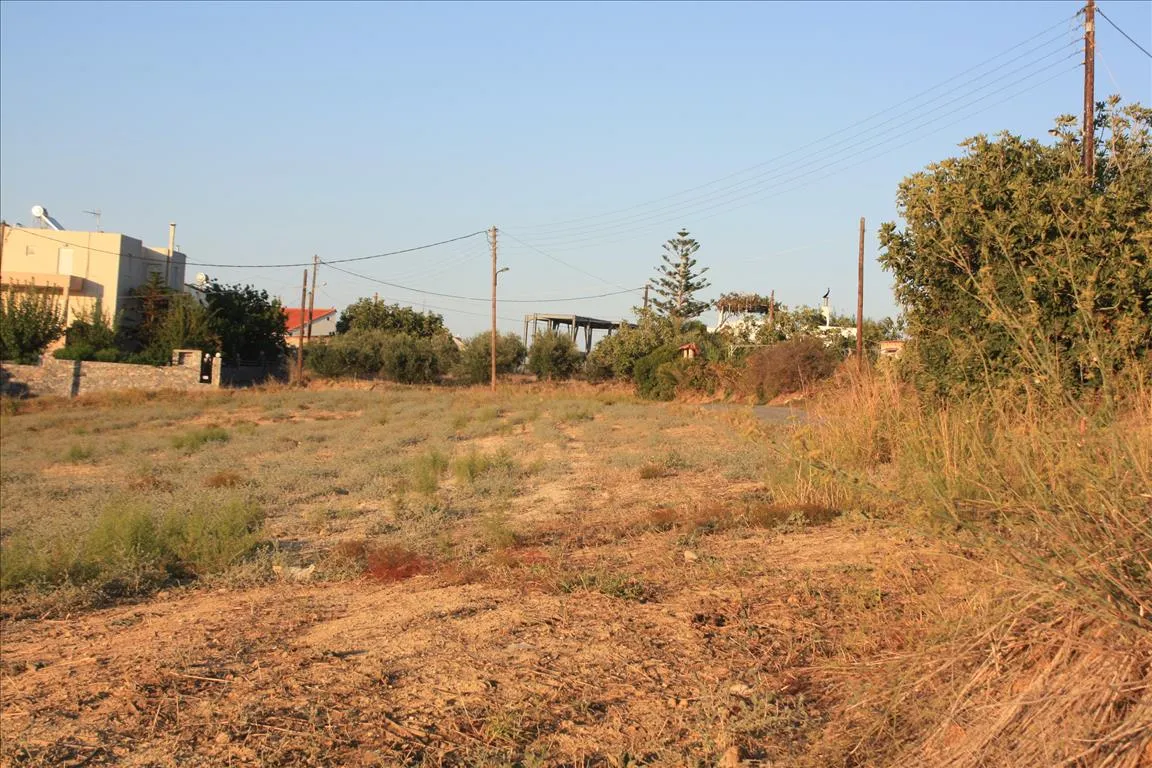 Plot 25000m²  - 4