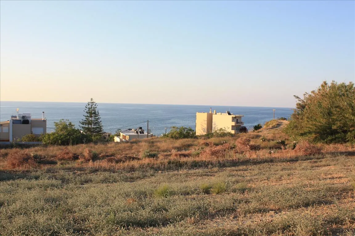 Plot 25000m²  - 5