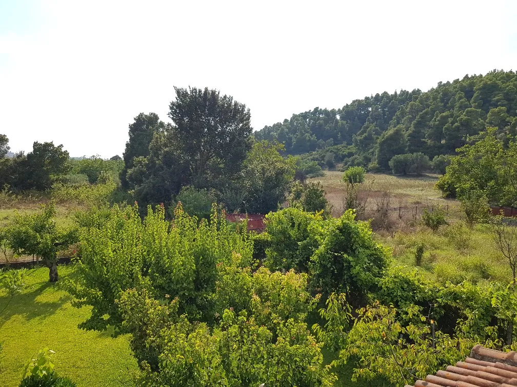 Detached house 305m²  - 4