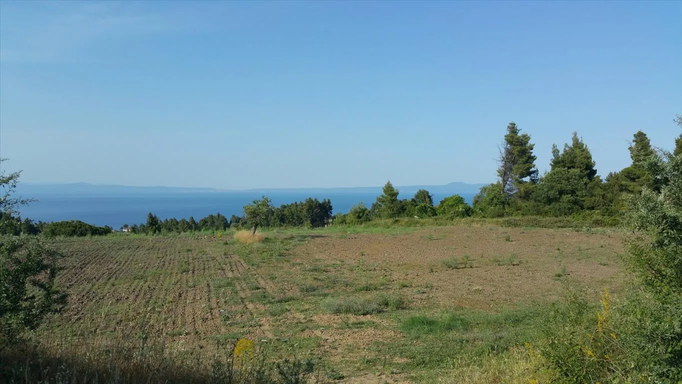 Οικόπεδο 14625τ.μ.  - 2