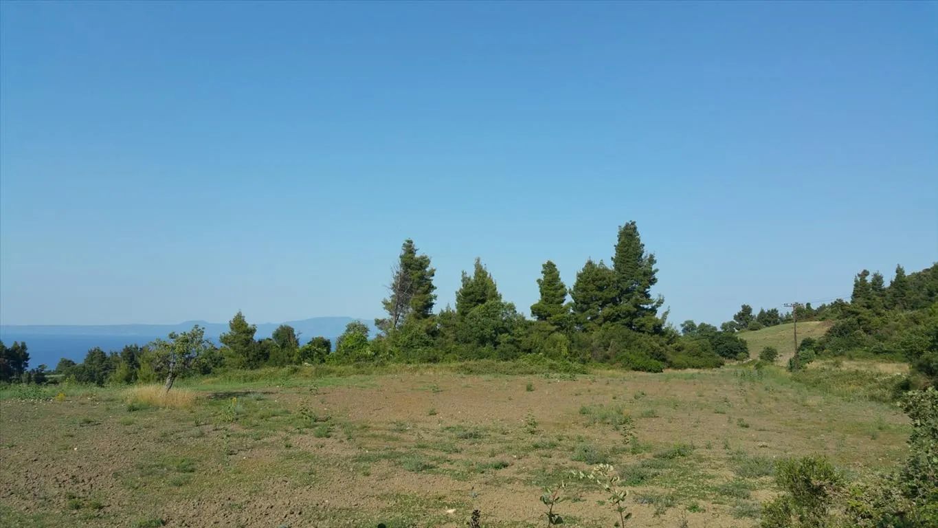 Οικόπεδο 14625τ.μ.  - 3