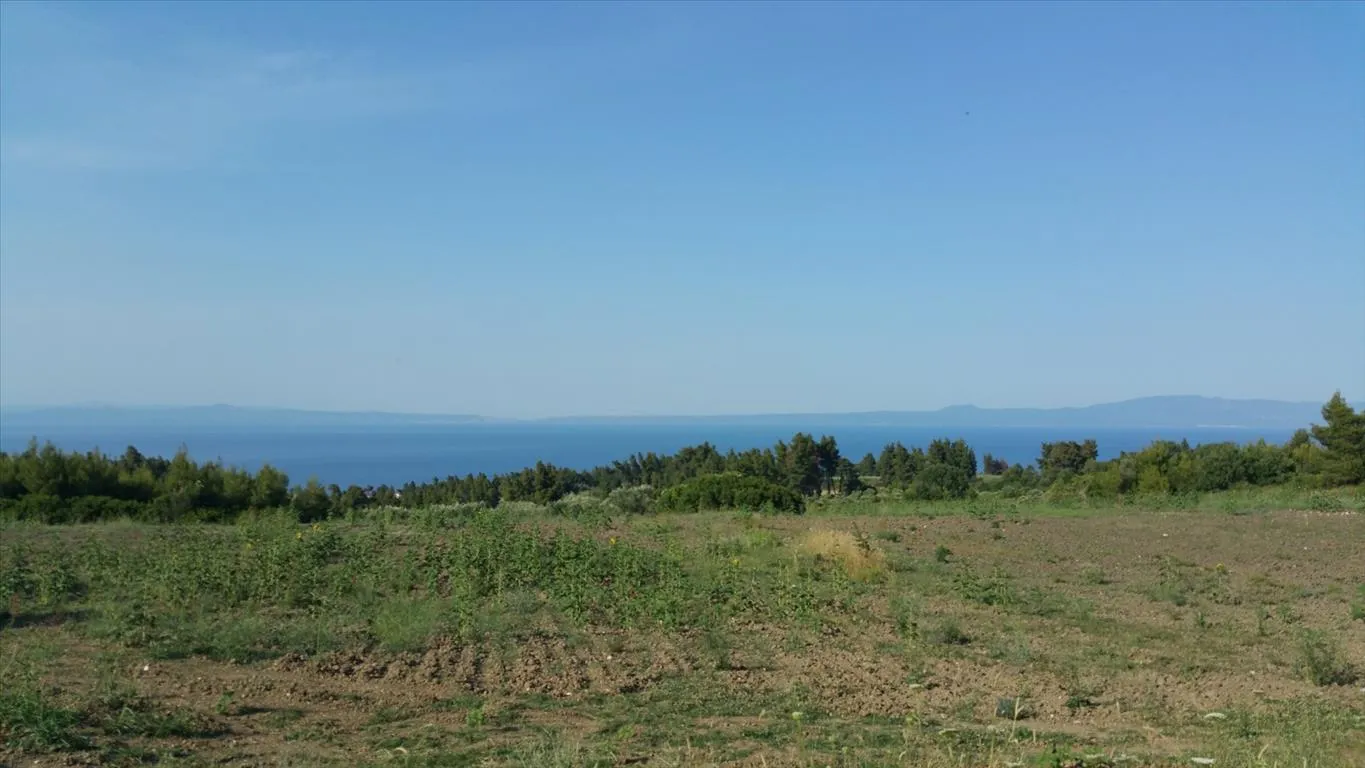 Οικόπεδο 14625τ.μ.  - 4
