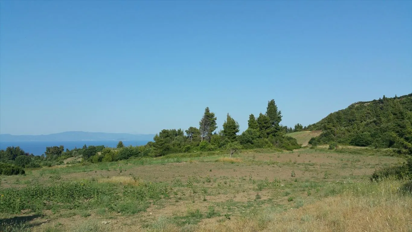 Οικόπεδο 14625τ.μ.  - 5