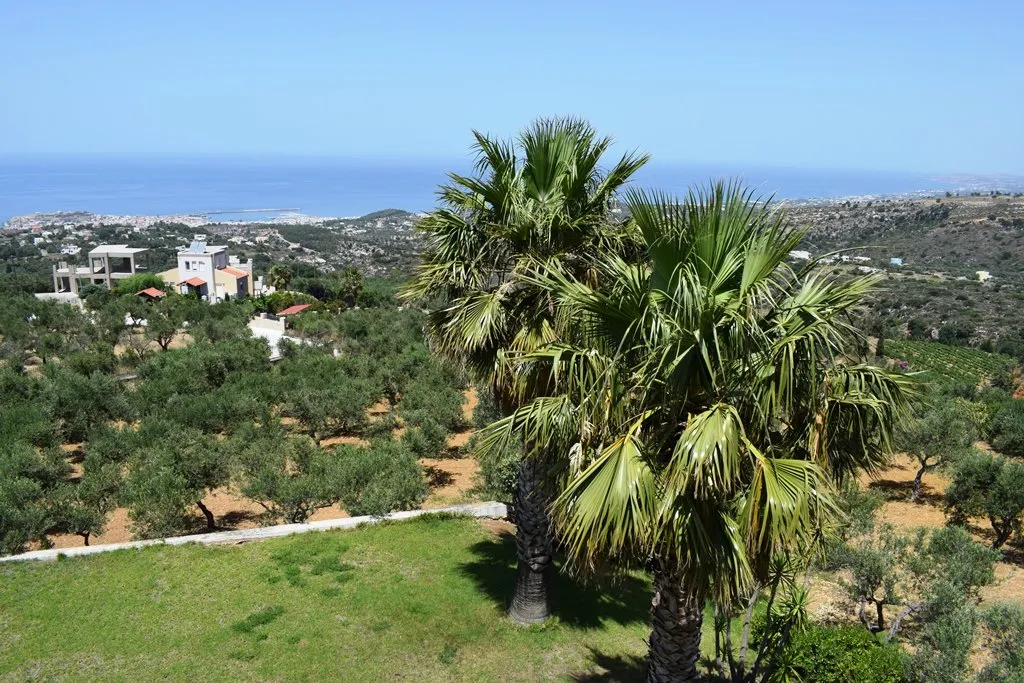 Detached house 470m²  - 5