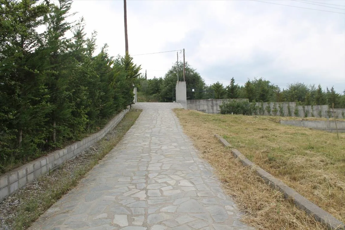 Μονοκατοικία 250τ.μ.  - 4