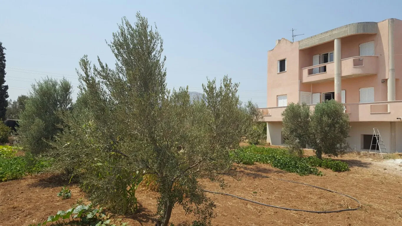 Maisonette 130m²  - 2