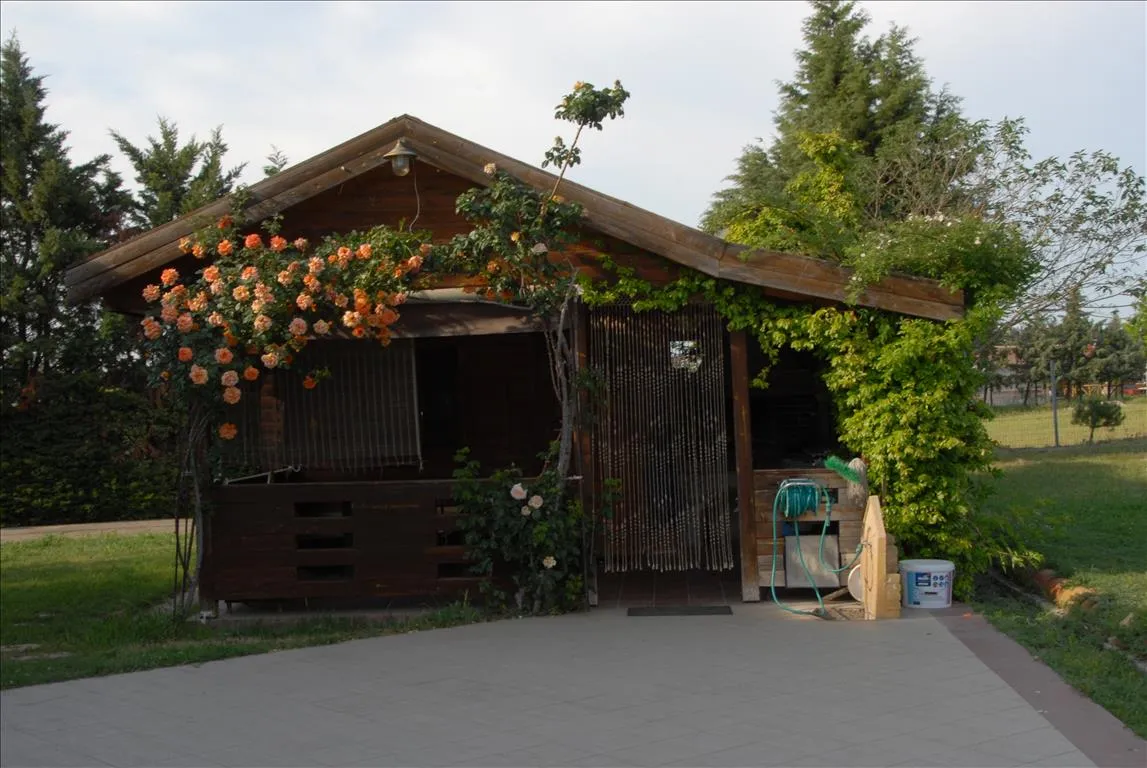 Detached house 340m²  - 3
