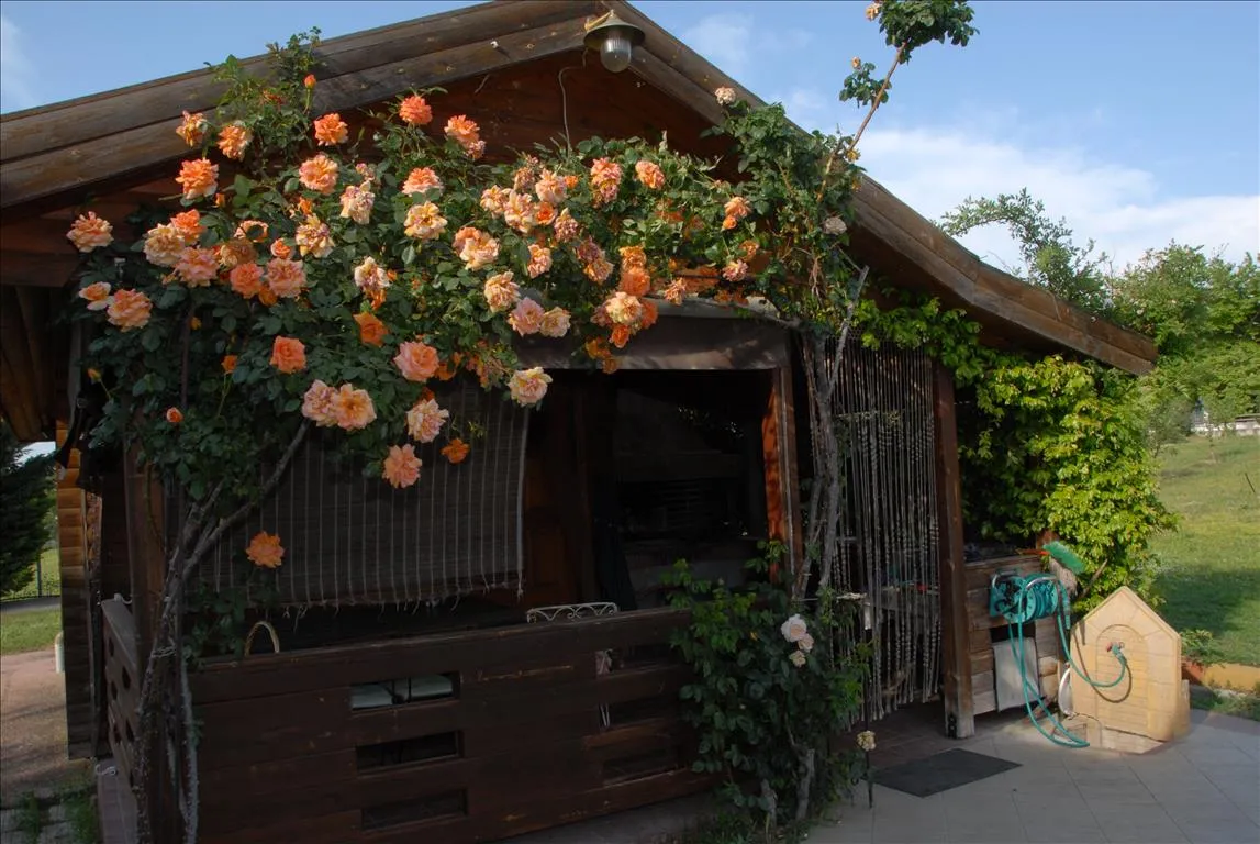 Detached house 340m²  - 4