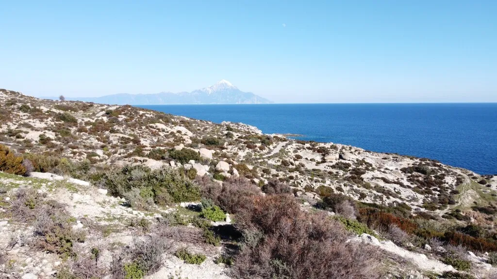 Οικόπεδο 500τ.μ.  - 5