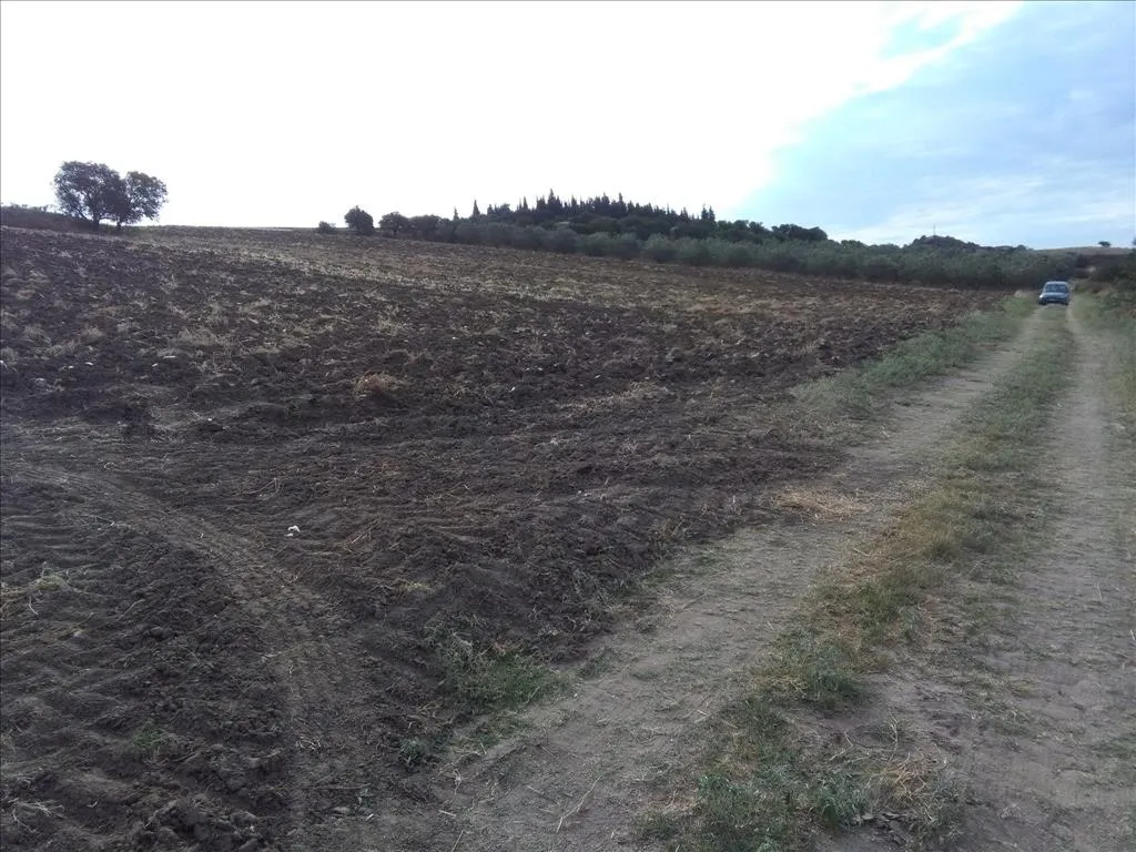 Plot 16313m²  - 2