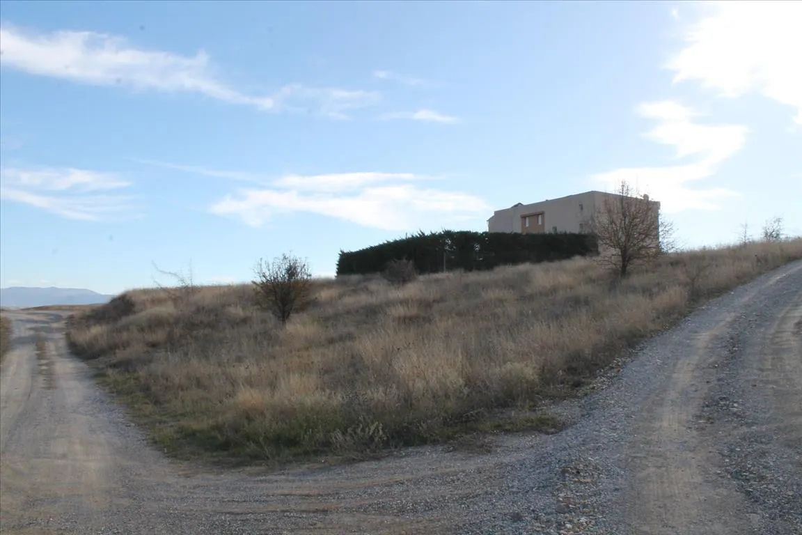 Plot 500m²  - 2