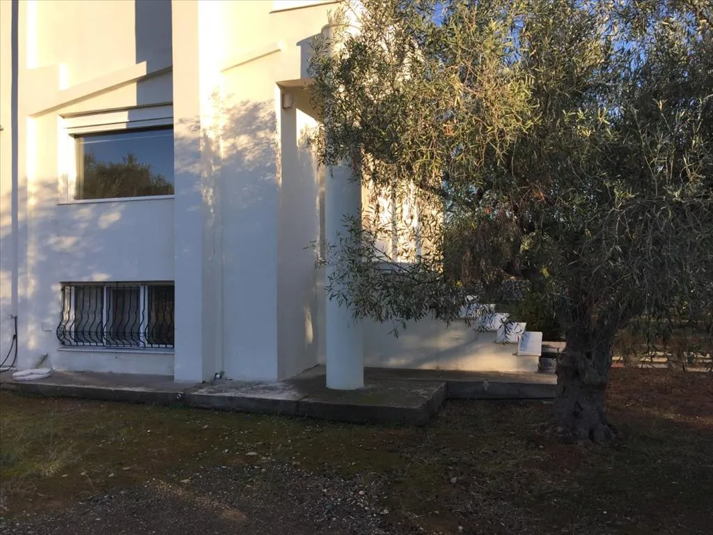 Μονοκατοικία 320τ.μ.  - 2