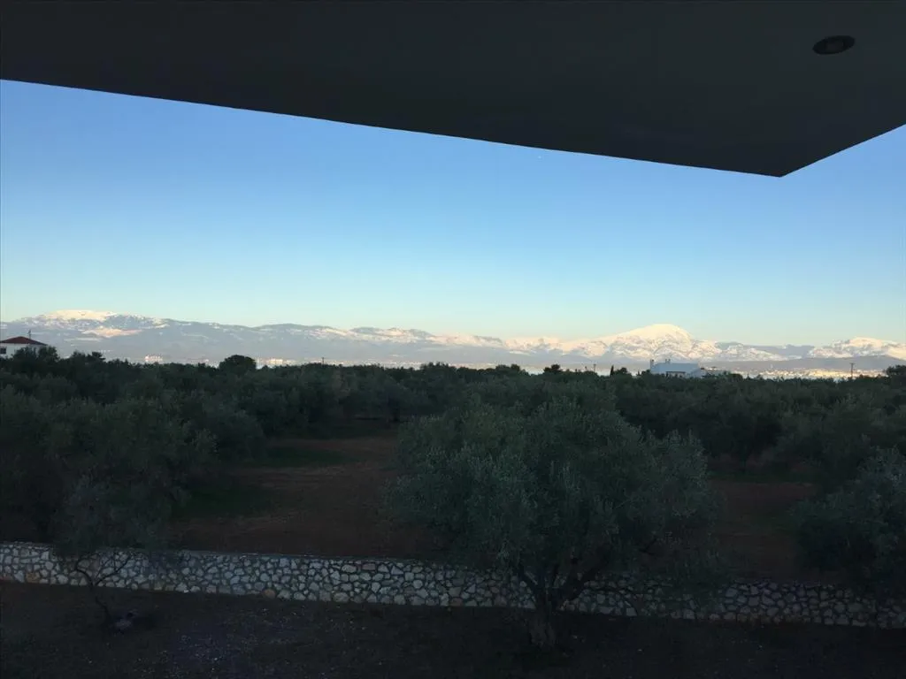 Μονοκατοικία 320τ.μ.  - 5