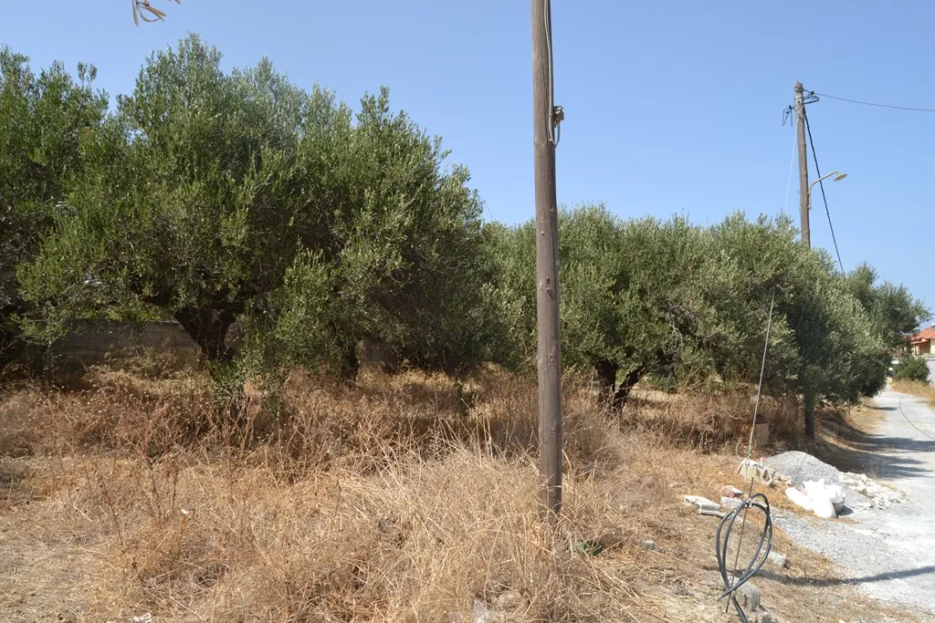 Οικόπεδο 535τ.μ.  - 2
