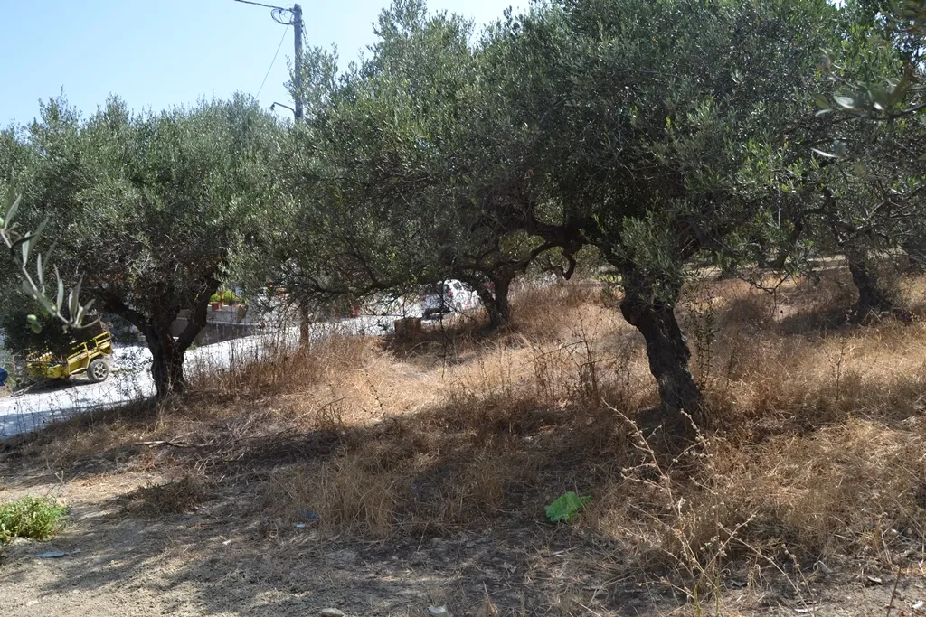 Οικόπεδο 535τ.μ.  - 4