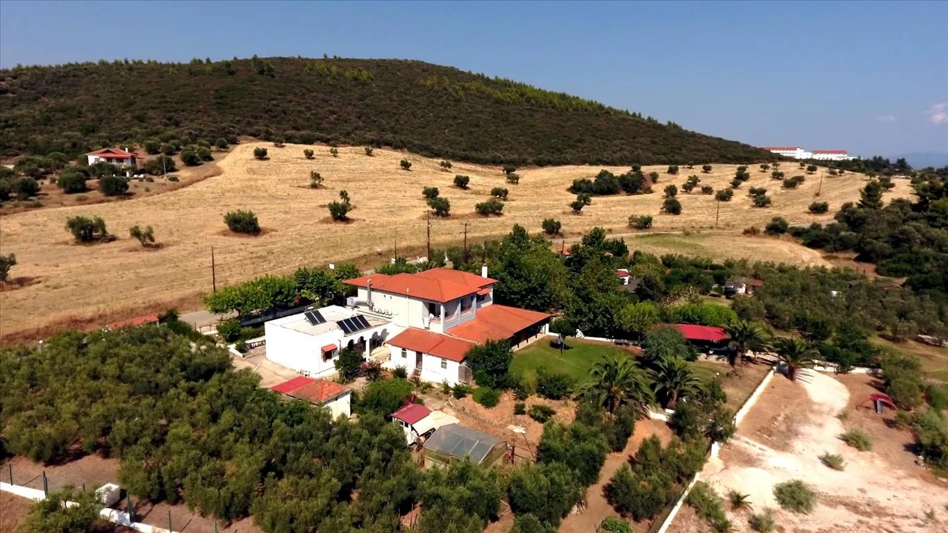 Άλλο.. 363τ.μ.  - 5