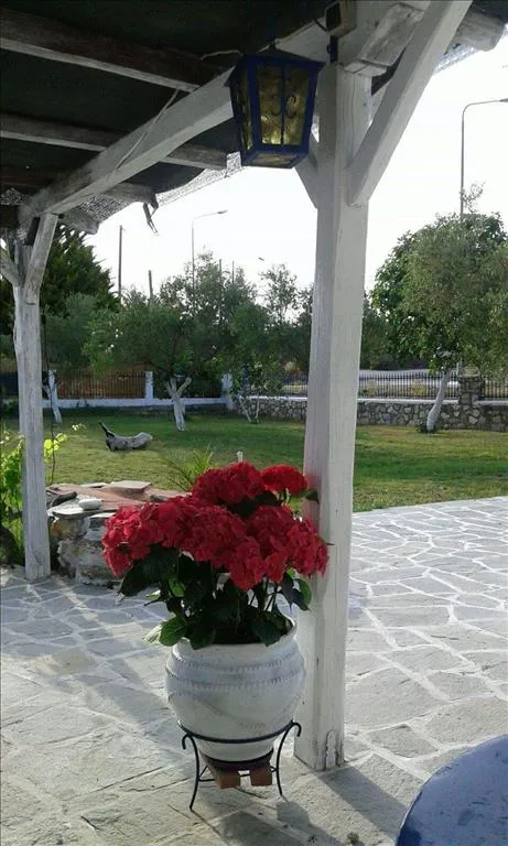 Άλλο.. 390τ.μ.  - 3