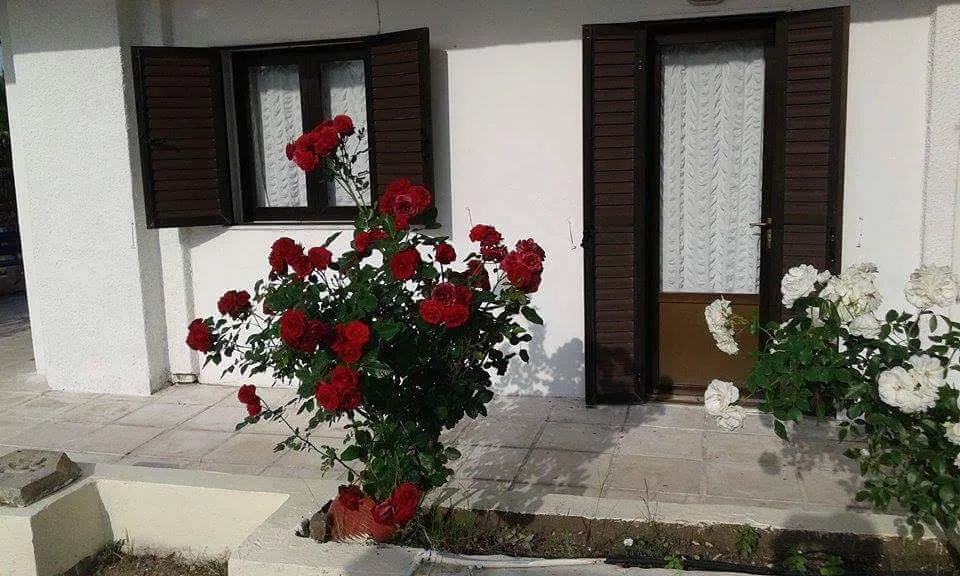 Άλλο.. 390τ.μ.  - 4