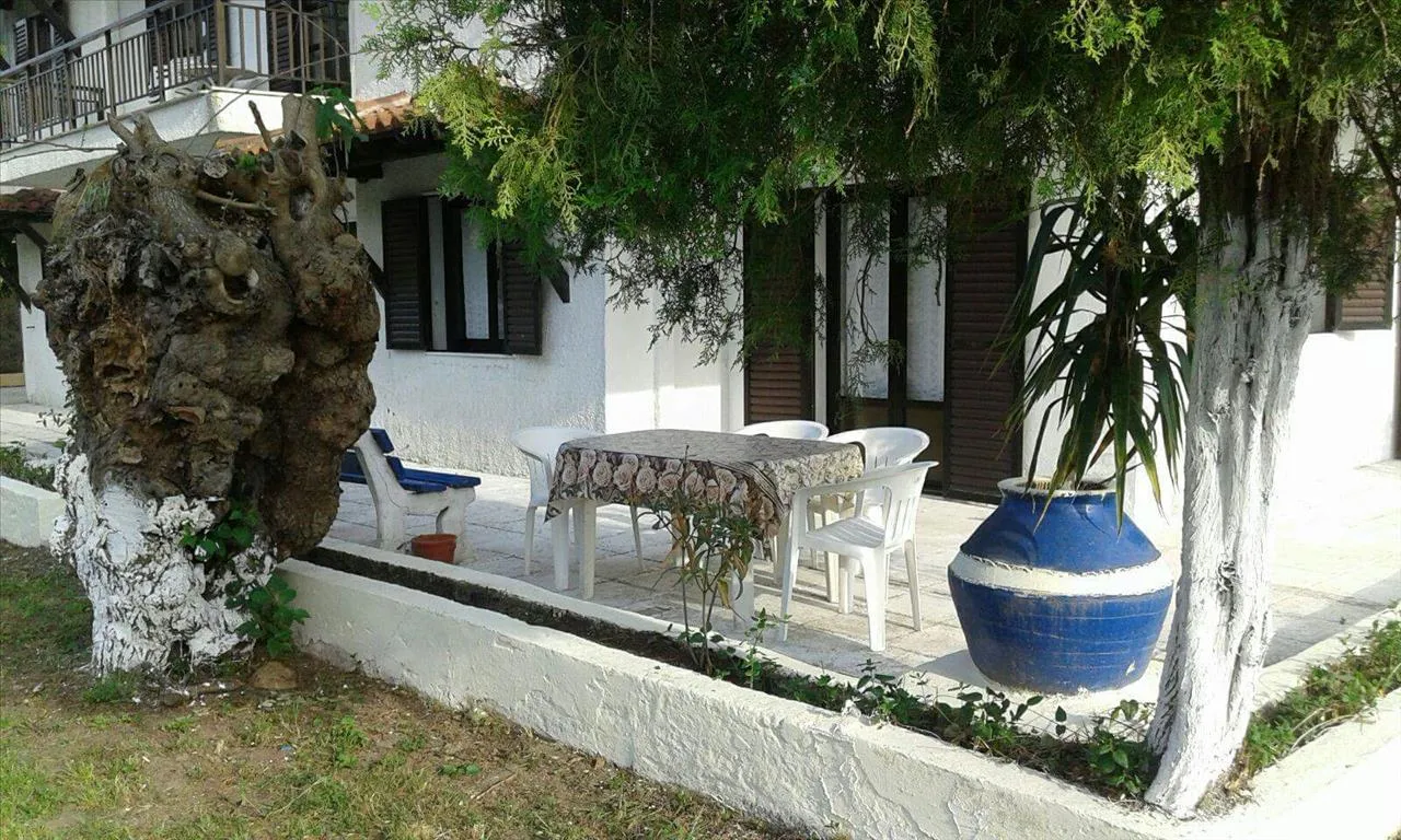 Άλλο.. 390τ.μ.  - 5