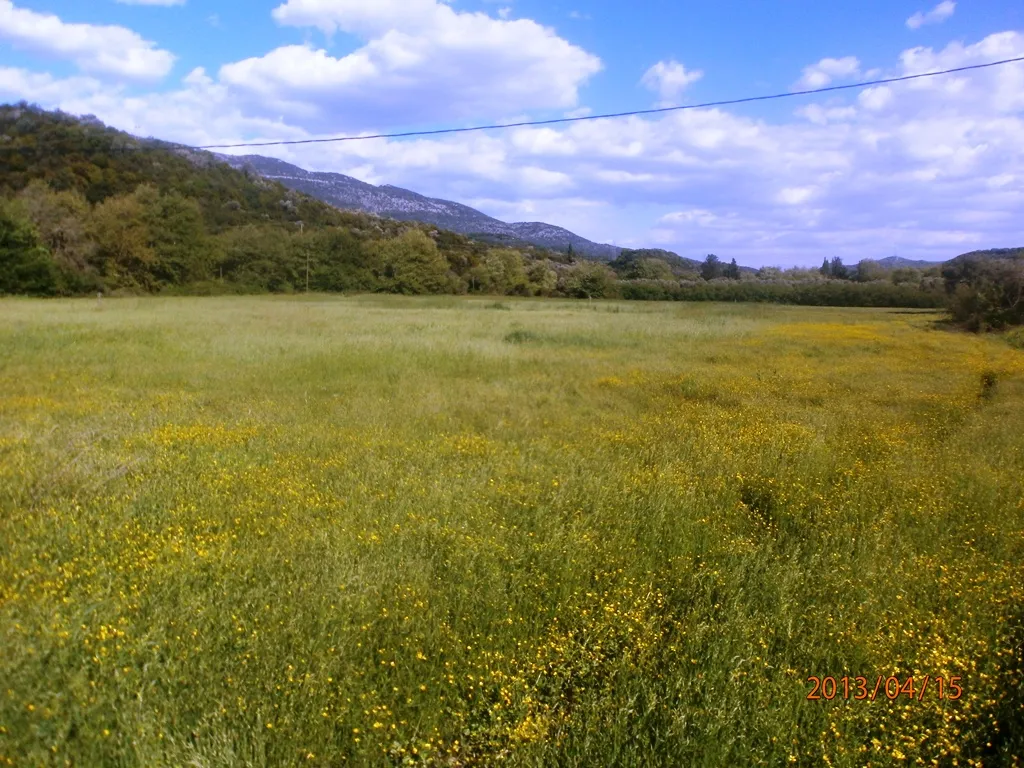 Plot 23000m²  - 3