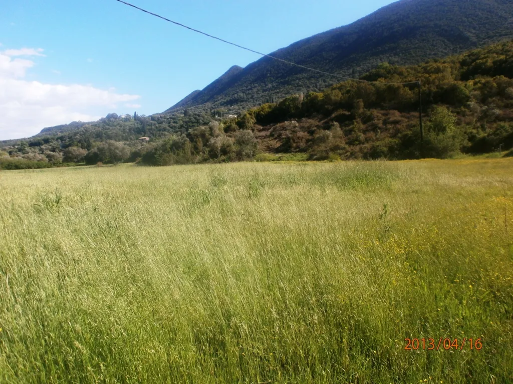 Plot 23000m²  - 5