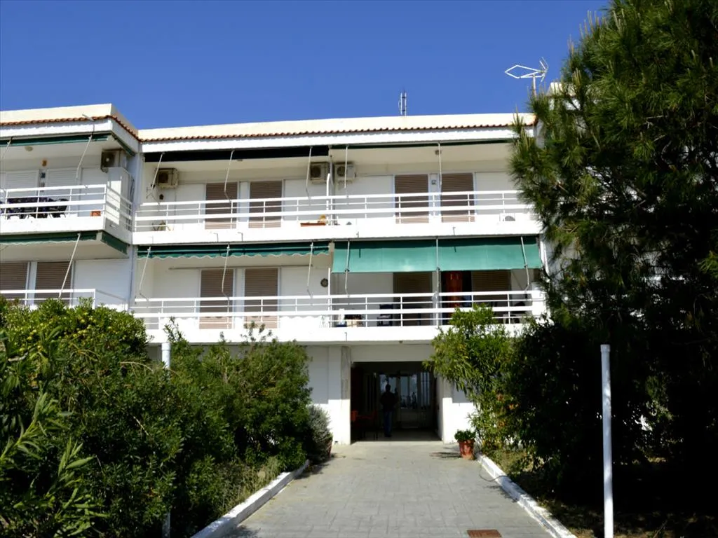 Apartment 57m²  - 4