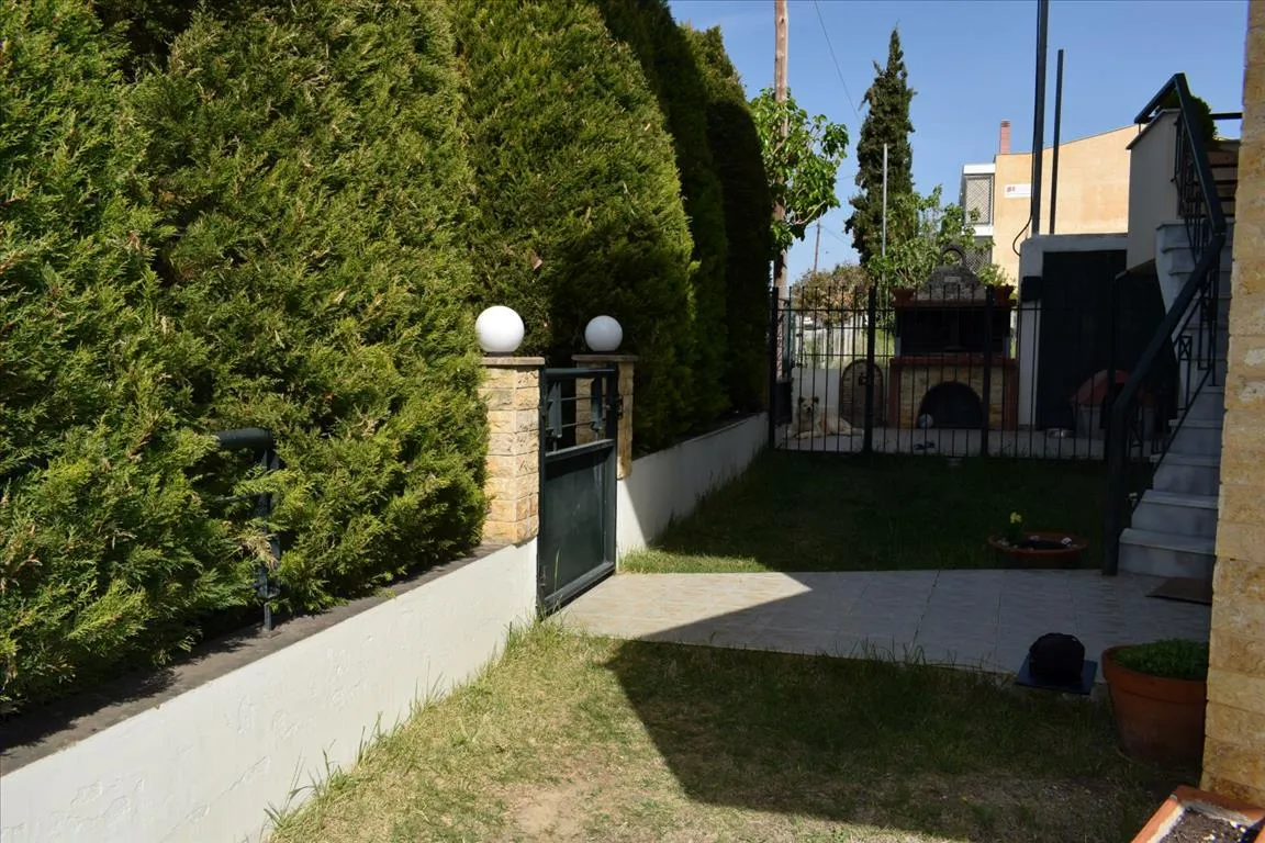 Μονοκατοικία 180τ.μ.  - 3