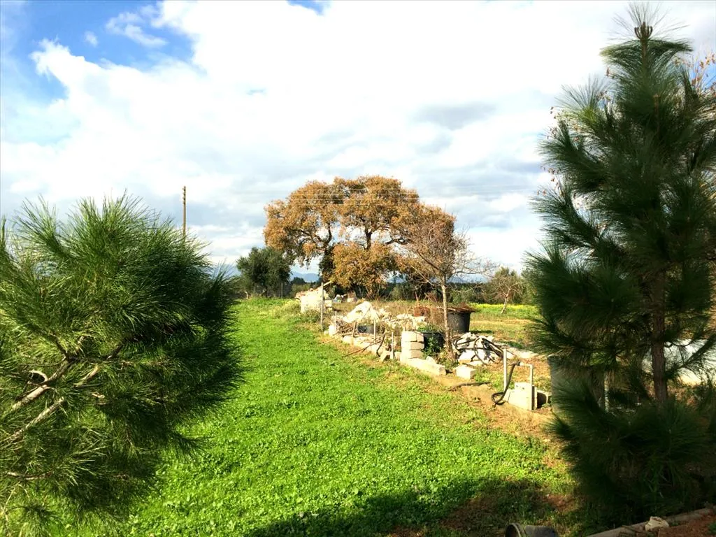 Detached house 140m²  - 2