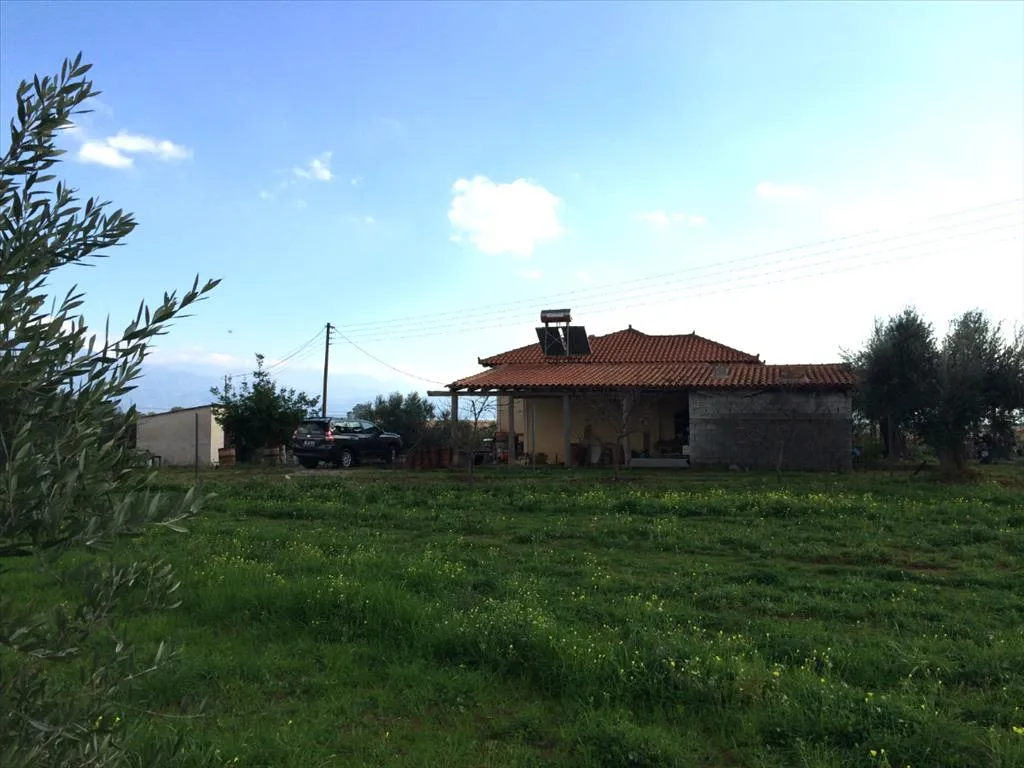Detached house 140m²  - 4